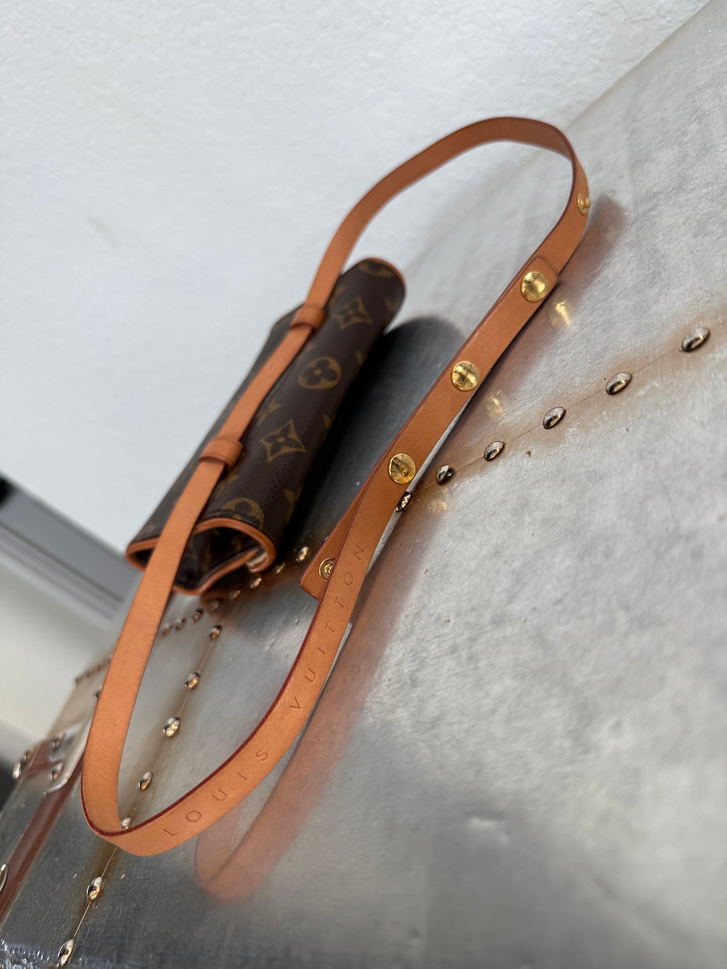 Pre-owned Authentic Louis Vuitton Monogram Florentine Waist Bag