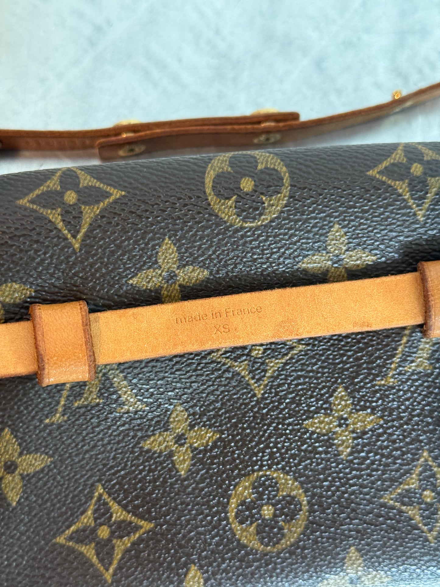 Pre-owned Authentic Louis Vuitton Monogram Florentine Waist Bag