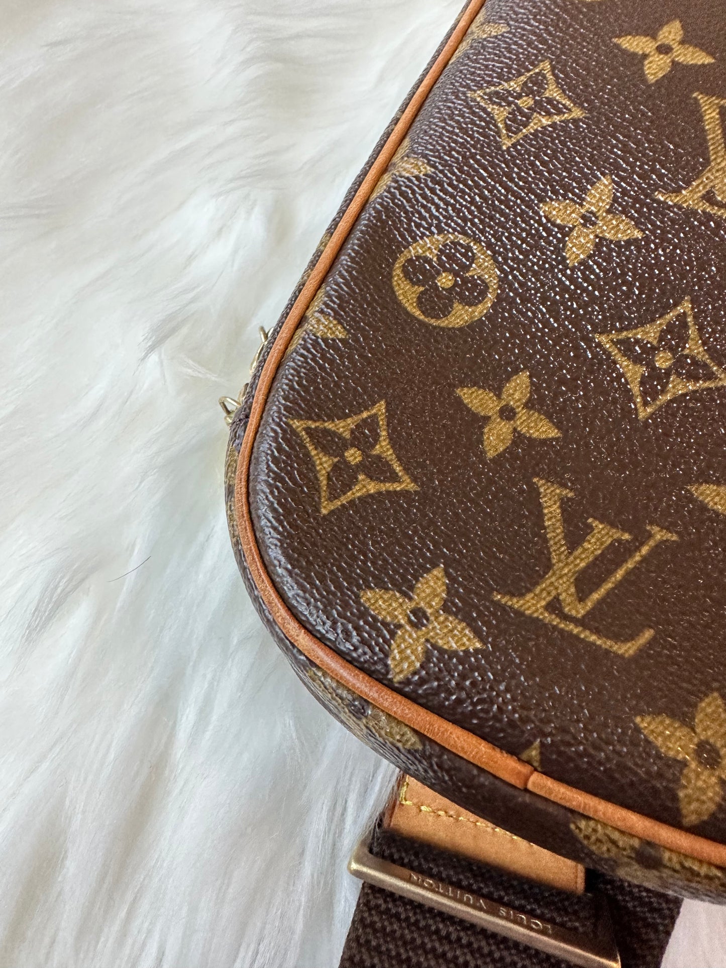 Pre-owned Authentic Louis Vuitton Pochette Gange Monogram Bum Bag