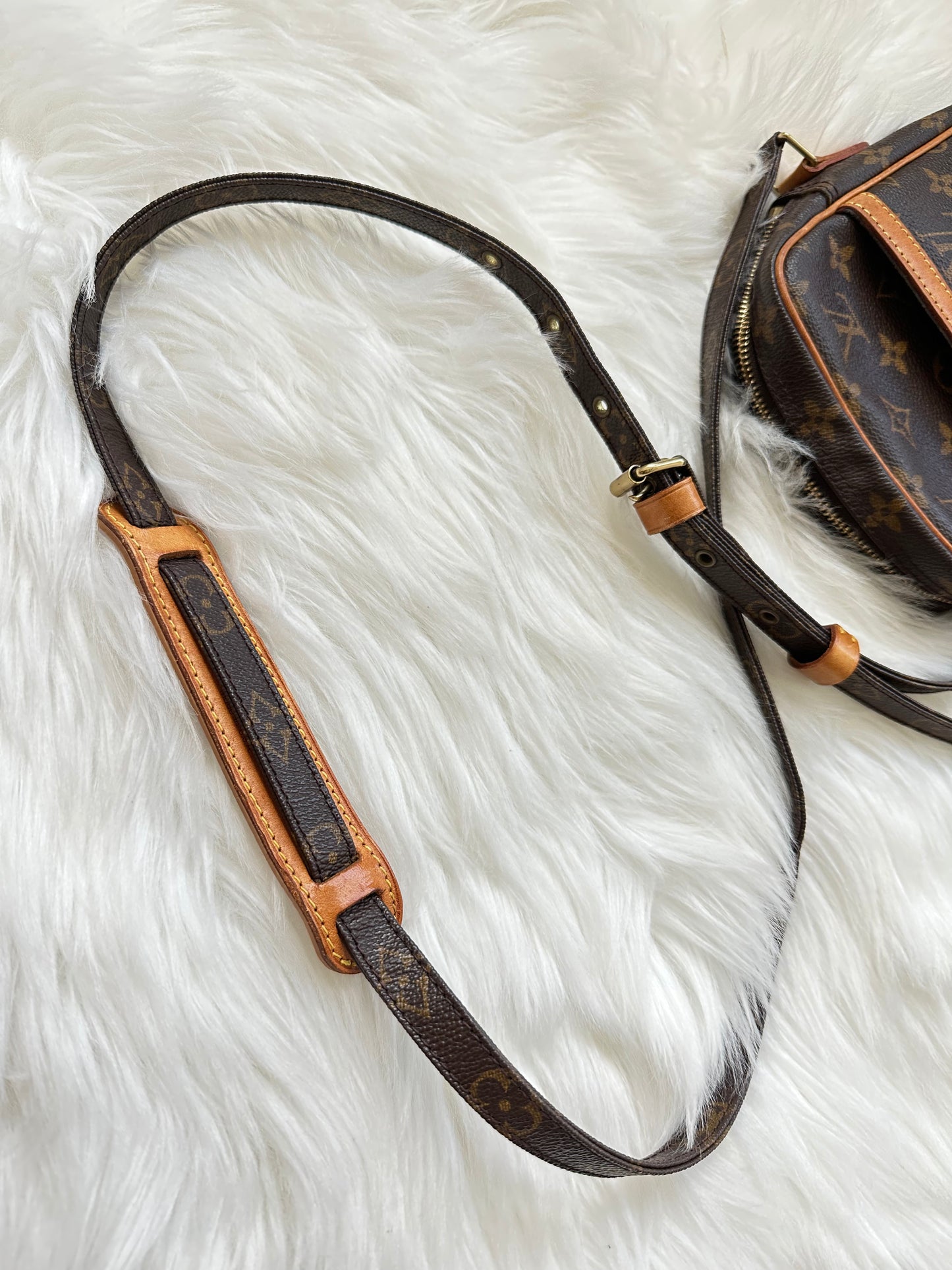 Pre-owned Authentic Louis Vuitton Danube Monogram Crossbody Bag