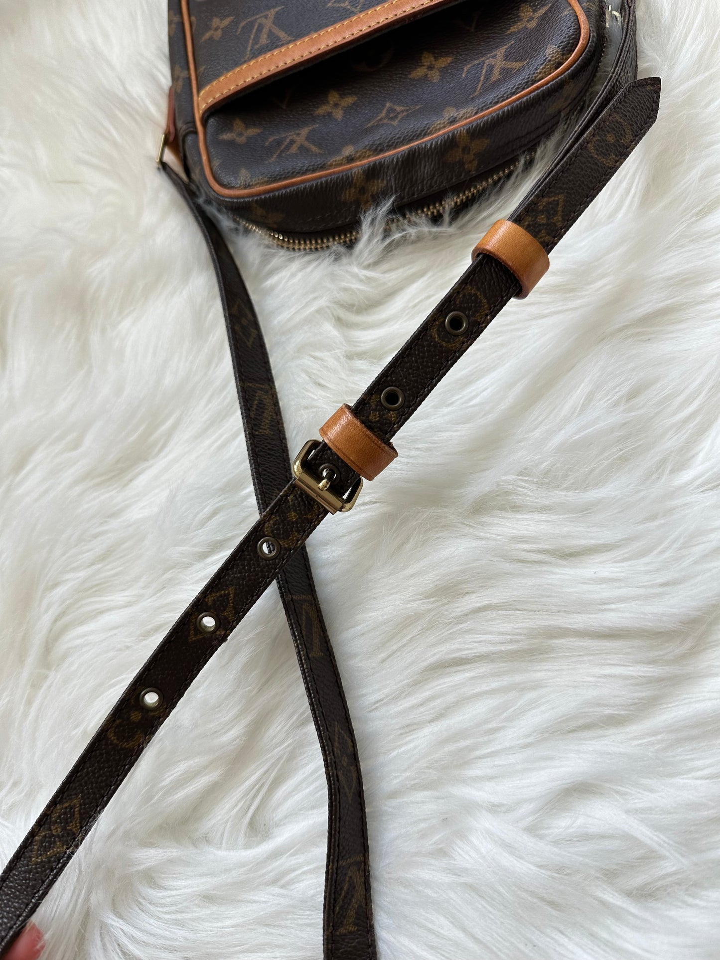 Pre-owned Authentic Louis Vuitton Danube Monogram Crossbody Bag