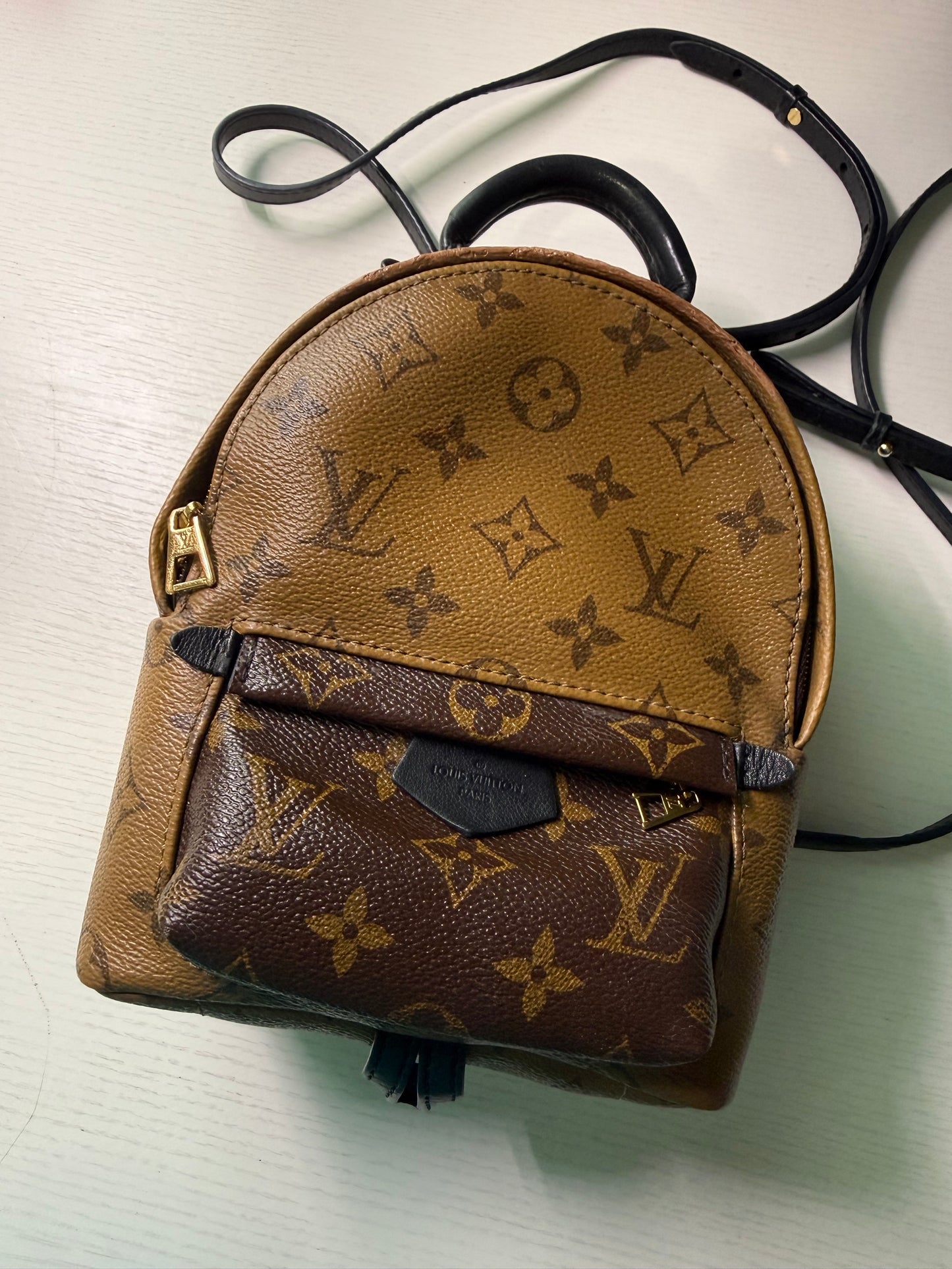 Pre-owned Authentic Louis Vuitton Palm Springs Mini Monogram Backpack