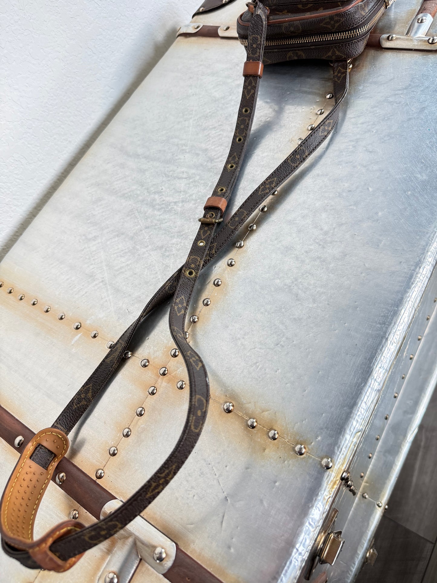 Pre-owned Louis Vuitton Mini Amazon Monogram Crossbody Bag