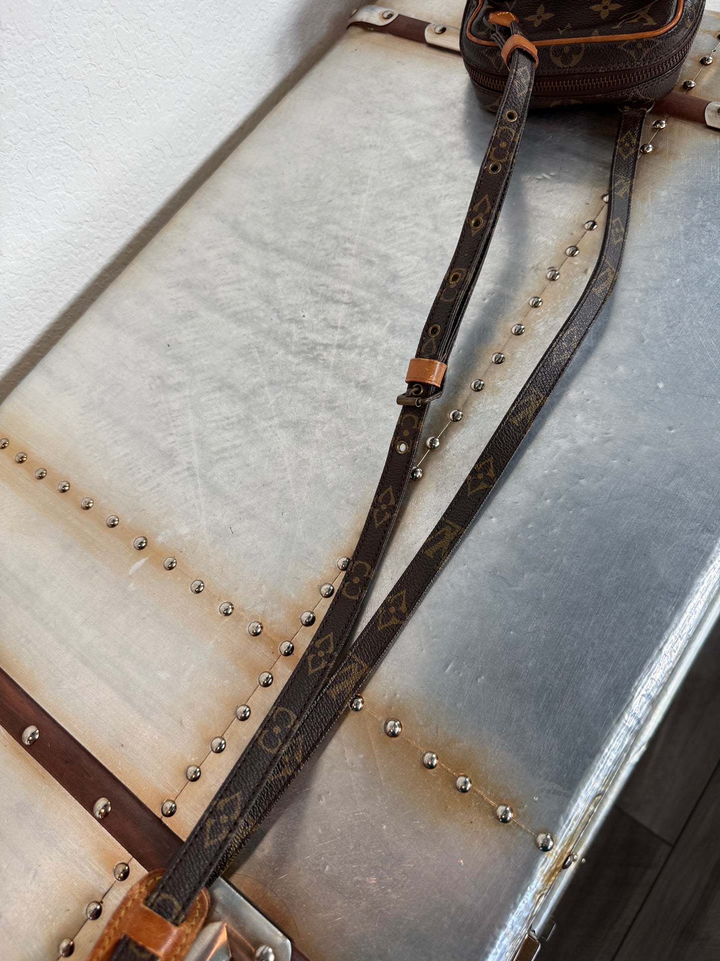 Pre-owned Louis Vuitton Mini Amazon Monogram Crossbody Bag